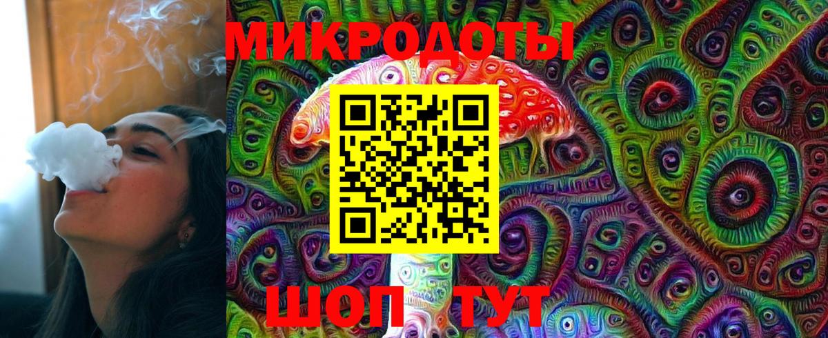 Псилоцибиновые грибы Psilocybine cubensis Луга