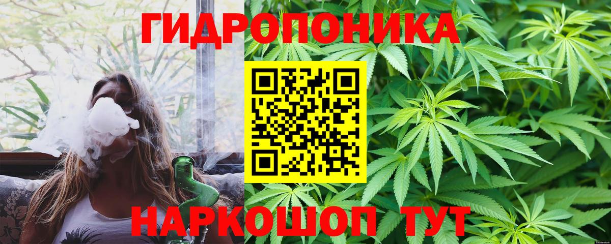 МАРИХУАНА Ganja Луга